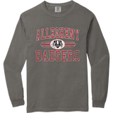 Scary Badgers Heavyweight Ring Spun Long Sleeve Tee