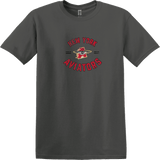 NY Aviators Softstyle T-Shirt