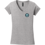 Lab Vikings Softstyle Ladies Fit V-Neck T-Shirt
