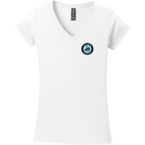 Lab Vikings Softstyle Ladies Fit V-Neck T-Shirt