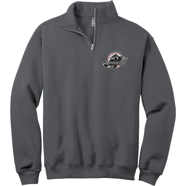 Allegheny Badgers NuBlend 1/4-Zip Cadet Collar Sweatshirt