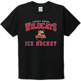 Jersey Shore Wildcats Youth Tri-Blend Tee