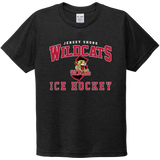 Jersey Shore Wildcats Youth Tri-Blend Tee
