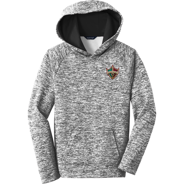 Delaware Ducks Youth PosiCharge Electric Heather Fleece Hooded Pullover