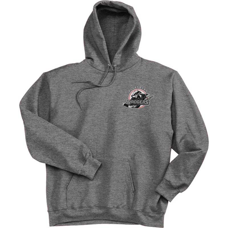 Allegheny Badgers Ultimate Cotton - Pullover Hooded Sweatshirt