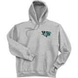 Boca Barracudas Ultimate Cotton - Pullover Hooded Sweatshirt