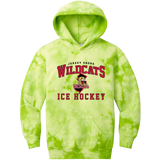 Jersey Shore Wildcats Youth Crystal Tie-Dye Pullover Hoodie