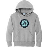 Lab Vikings Youth Core Fleece Pullover Hooded Sweatshirt