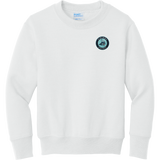 Lab Vikings Youth Core Fleece Crewneck Sweatshirt