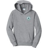 Lab Vikings Youth Fan Favorite Fleece Pullover Hooded Sweatshirt