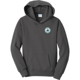 Lab Vikings Youth Fan Favorite Fleece Pullover Hooded Sweatshirt
