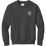 PA Brick Youth Core Fleece Crewneck Sweatshirt
