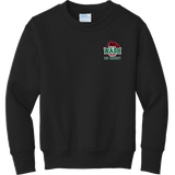 Wash U Youth Core Fleece Crewneck Sweatshirt