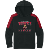 Jersey Shore Wildcats Youth Sport-Wick Fleece United Pullover Hoodie