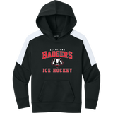 Scary Badgers Youth Sport-Wick Fleece United Pullover Hoodie