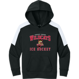Jersey Shore Wildcats Youth Sport-Wick Fleece United Pullover Hoodie