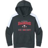 Scary Badgers Youth Sport-Wick Fleece United Pullover Hoodie